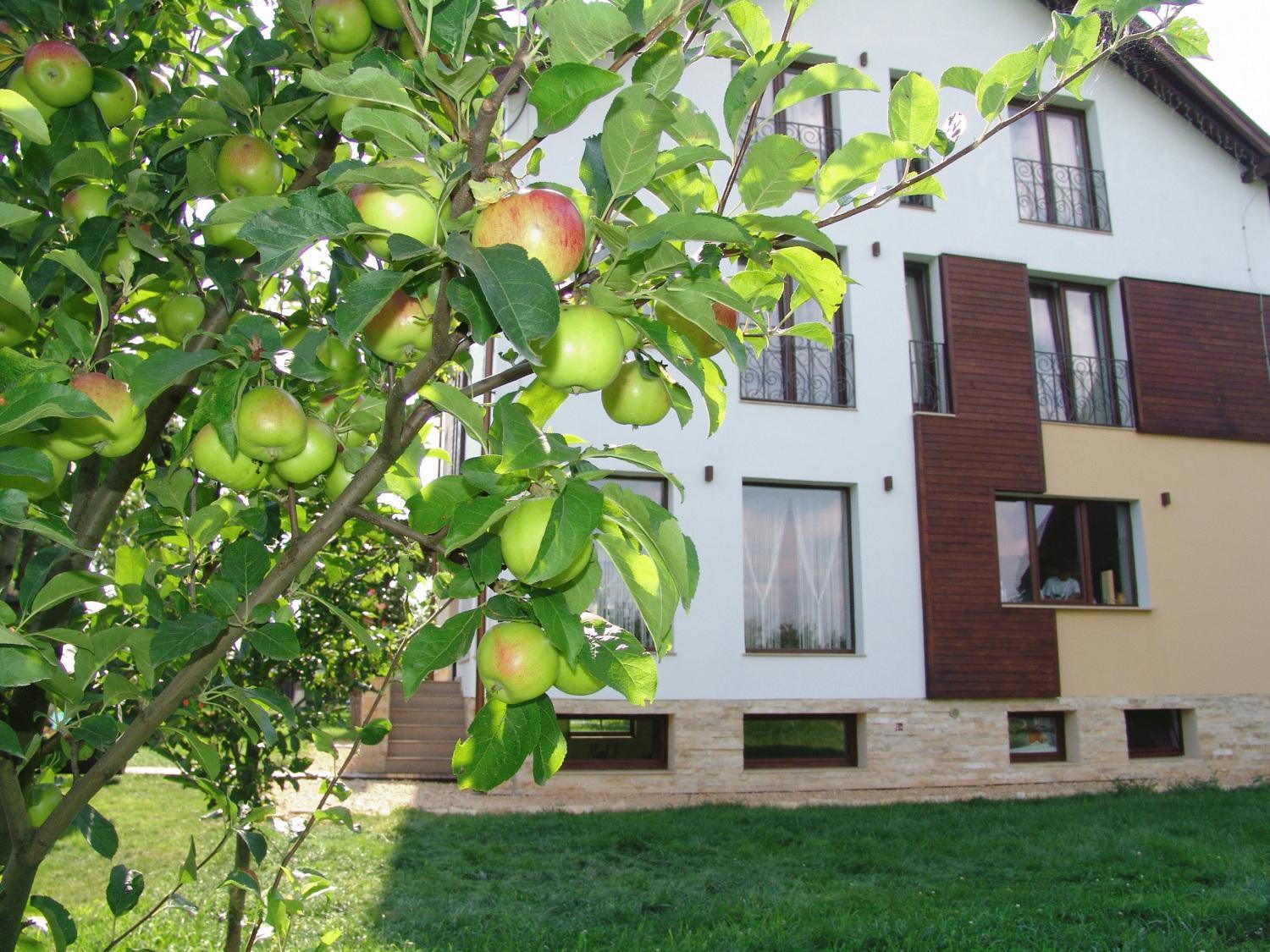 Hotel Stupina à Braşov Extérieur photo