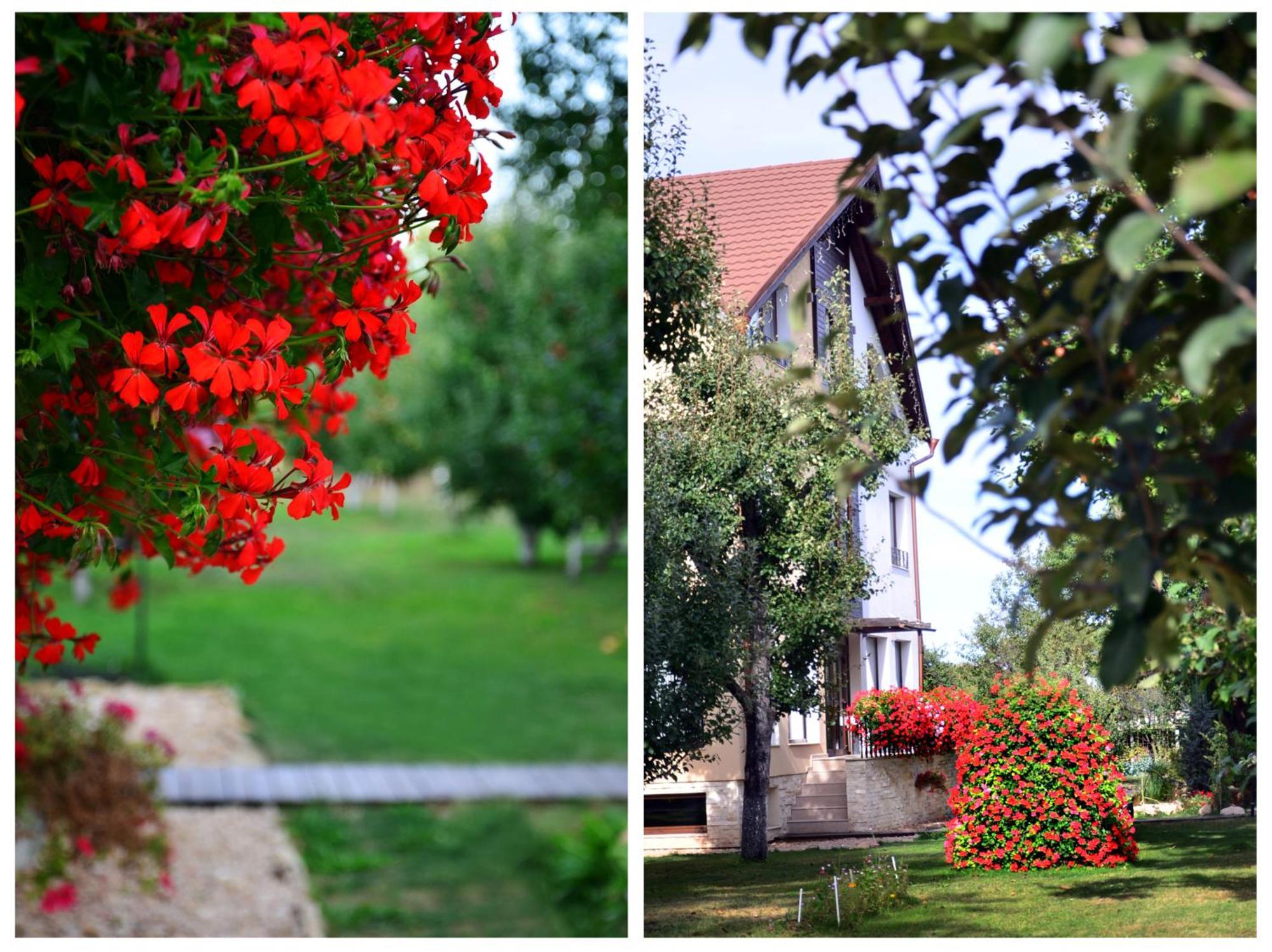 Hotel Stupina à Braşov Extérieur photo