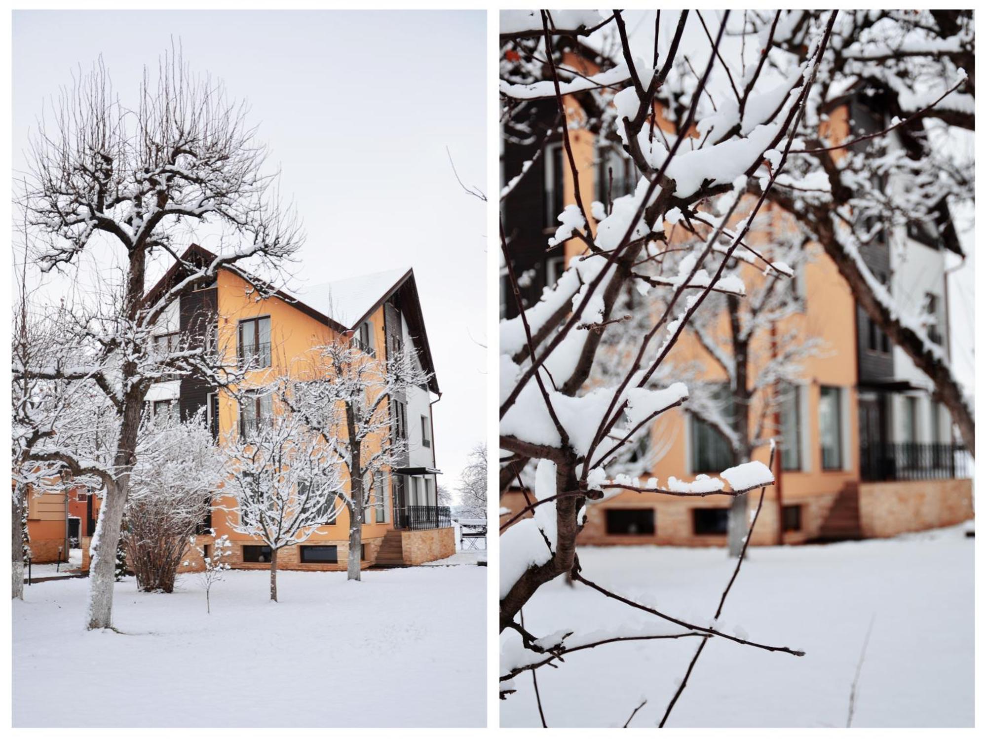 Hotel Stupina à Braşov Extérieur photo